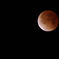 total eclipse of the moon