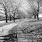 The Long and Winding Road.