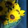 sun flower_2