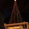 京都駅のクリスマスツリー