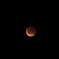 紅き月の夜
