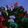 Christmas.
