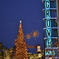 The Grove