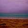 OKINAWA4