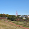 DSC_1859