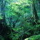 屋久島