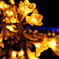 festival of the flower