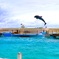 Jump!!