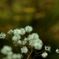 ・・・・・