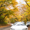 紅葉と愛車その２