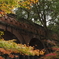 南禅寺の紅葉