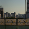 2011-12-12・眺めた