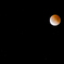 2011-12-12・東京、星