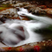 photo_1557659
