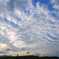 秋の雲