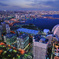 Yokohama evening