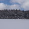 北海道の冬③