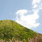 しろ・みどり・山