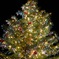 クリスマスツリー