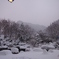 雪に包まれた