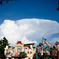 Toontown
