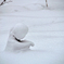 雪になった少女