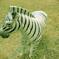 photo_1569351