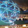 DSCF0082