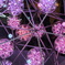 DSCF0083