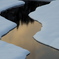 Crevasse.