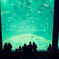 水族館