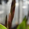 R0010309