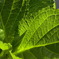 R0010315