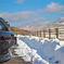 snow n car