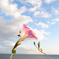 空と海と花