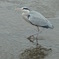 R0010071