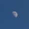 夕月