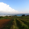 photo_1575687