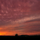 setting sun