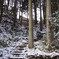 雪その２