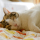 sleep…