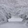 眉山の新雪