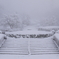 雪の階段