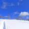 雪華