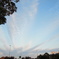 DSCN0286