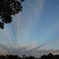 DSCN0285