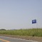 多摩川看板