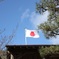 頑張れニッポン。