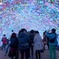 なばな2012 Ⅵ