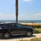 IMG_1572 (800x533)